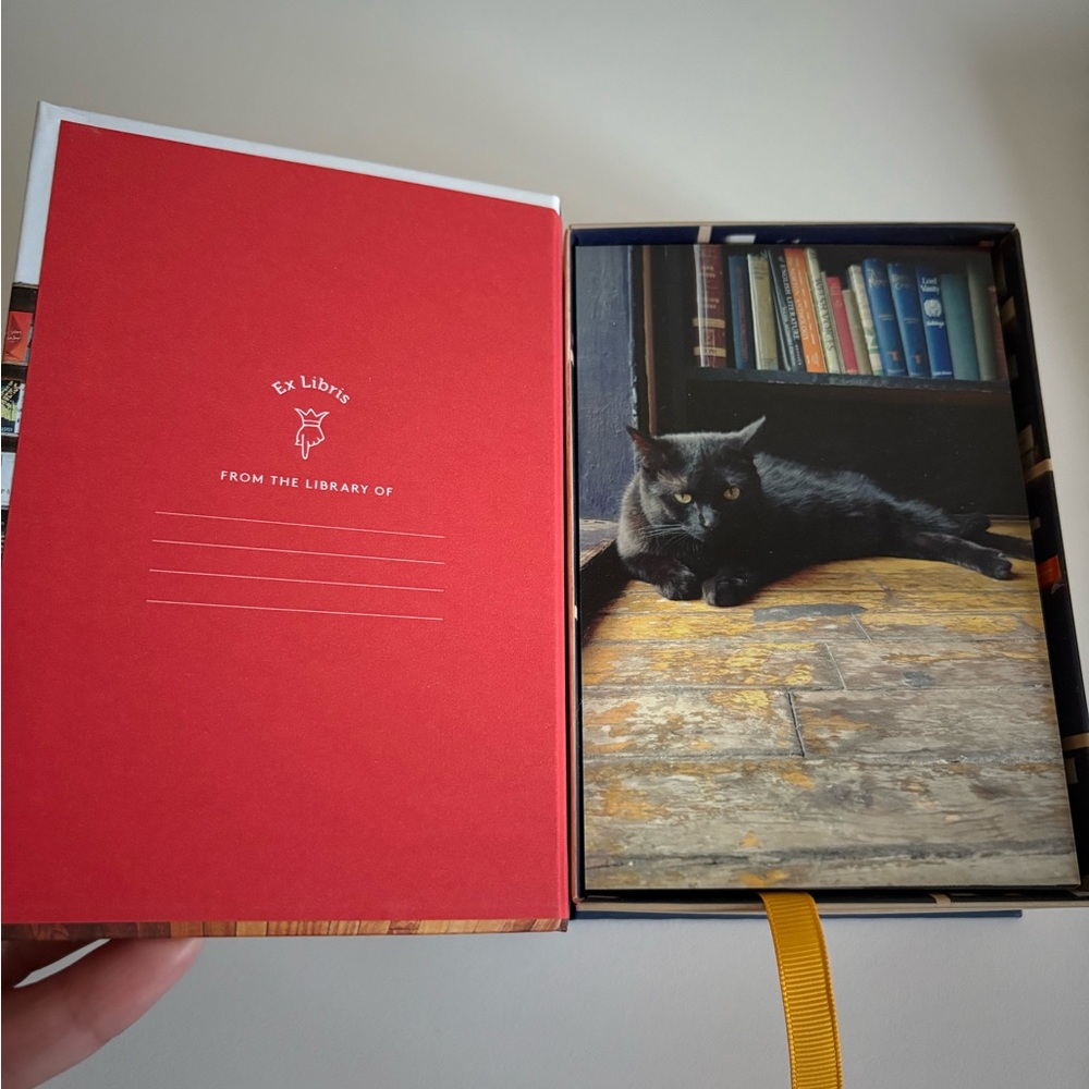 🤎This Is My Bookstore: 100 Postcards of Beautiful Shops around the World - Picture 6 of 7
